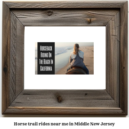 horse trail rides near me in Middle, New Jersey